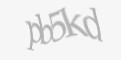 Захисний код