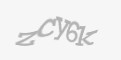 Захисний код